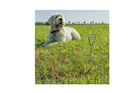 ProPlus 361857 Palo per guinzaglio per cani con cavo in acciaio da 4,5 m