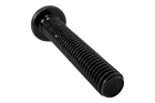 Vite M8x42mm per il fissaggio del limitatore - Inter Pack Quattro/Trio 140-1108-020-04D