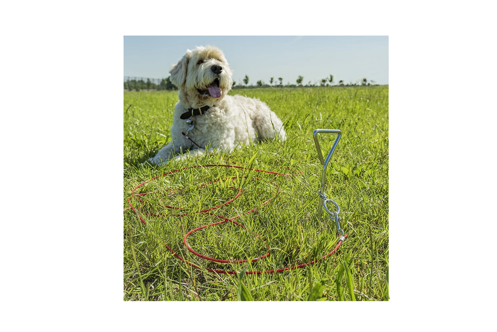 ProPlus 361857 Palo per guinzaglio per cani con cavo in acciaio da 4,5 m