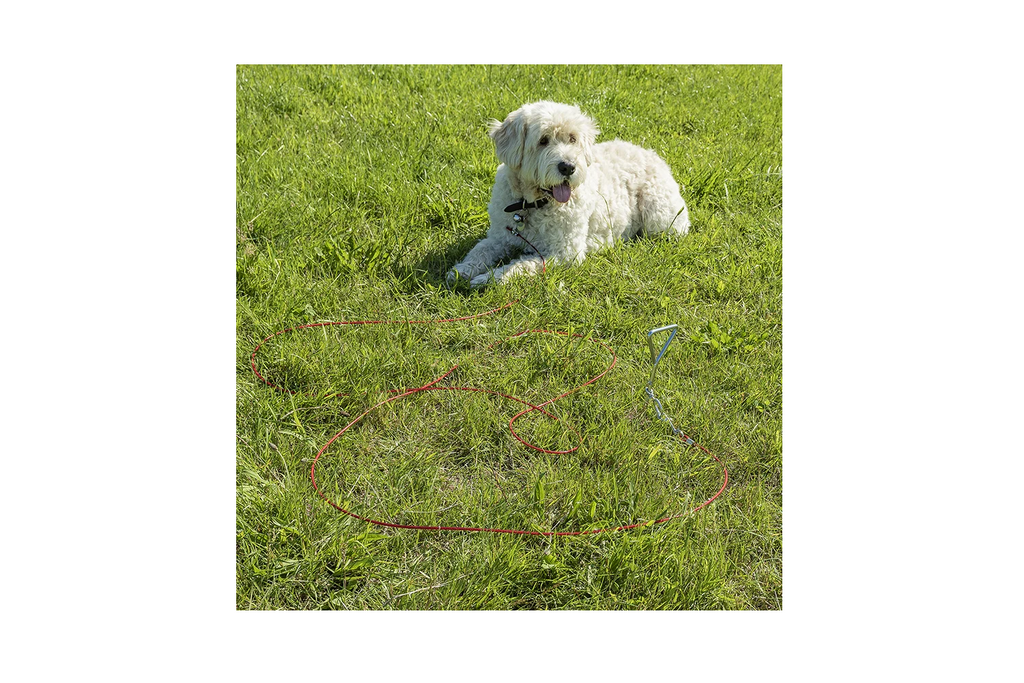 ProPlus 361857 Palo per guinzaglio per cani con cavo in acciaio da 4,5 m